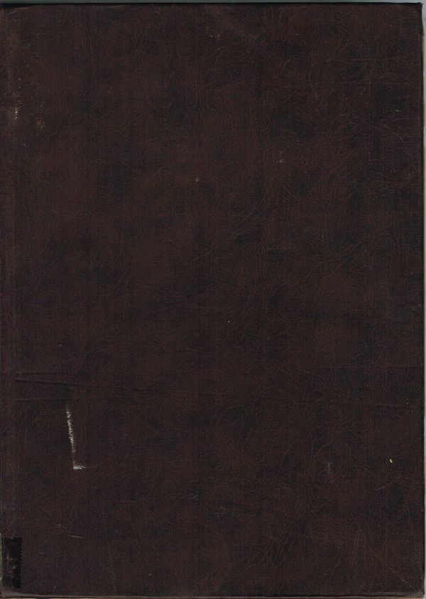 Dicionário Brasileiro da Língua Portuguesa